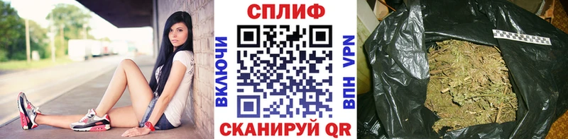 купить   Высоковск  МАРИХУАНА планчик 